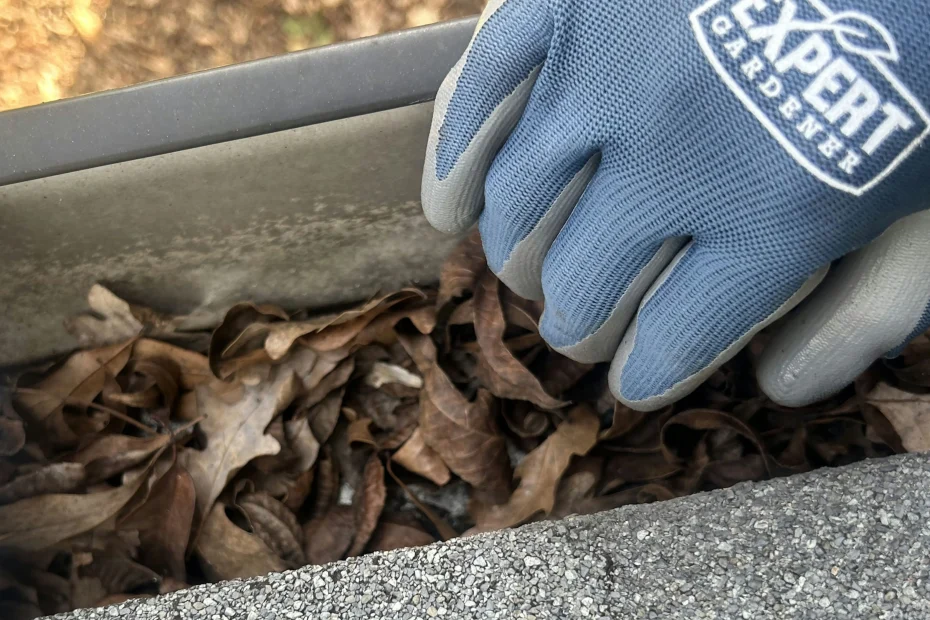 Gutter Cleaning Reynoldsburg