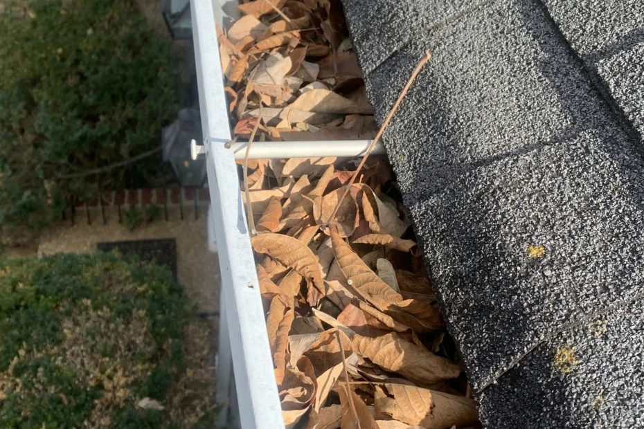 Gutter Cleaning Reynoldsburg